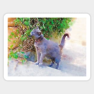 Blue Cat on the Sunny Stairs Sticker